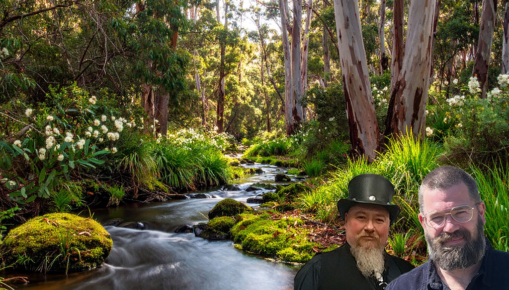 StuTim Meandering River
